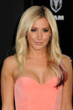 th_43670_celebrity_paradise.com_TheElder_AT38_122_736lo.jpg